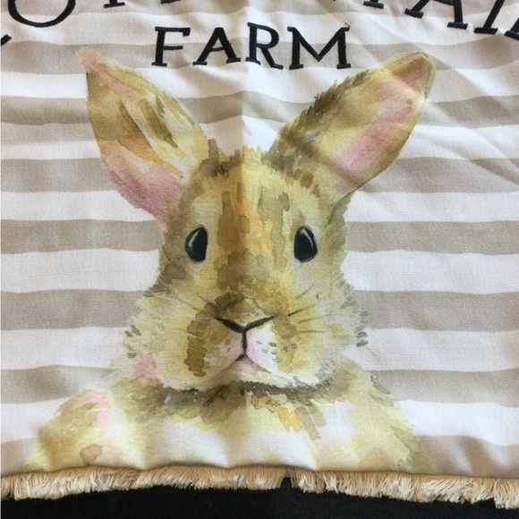 Peter Cottontail Farm Pillow case - Picture 1 of 4